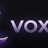voxel_100