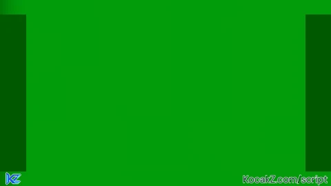 Rehan script no gui