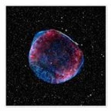 OFFICALSUPERNOVA
