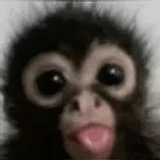 MonkeScripts