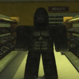 Bradok