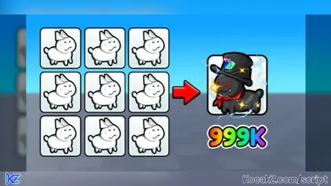 OP INF COINS