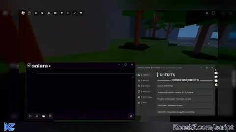 BEST SCRIPT SUPPORT SOLARA
