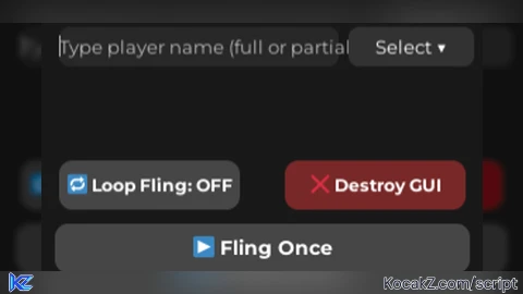 Fling Panel