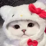 bestgamer69