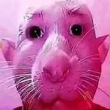 FJZN