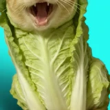bbbbbbbbrrrrroooooo