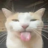 Atom