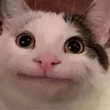NotBeluga
