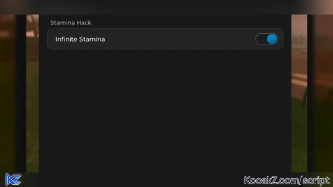Infinite Stamina (Working)
