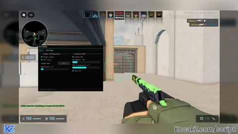 Nickhub Esp And Aimbot and Team Check And WallCheck