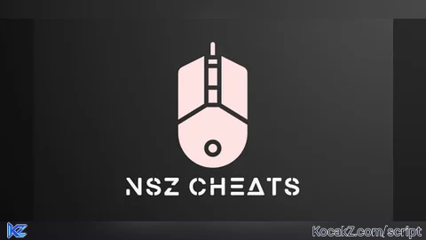 NSZ Cheats | Aimbot | ESP | Gun Mods
