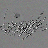 broken_november