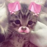 em_emy05