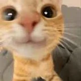 OGSSUNNY