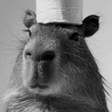 capycoder