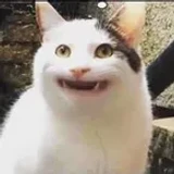 BananaBalintYT