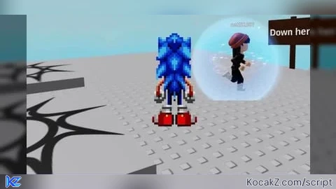 Sonic CD Special Stage Sonic