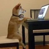 shibascripts