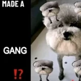 hemadeagang