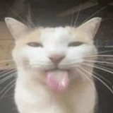 Blehhhhhhh