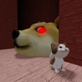 Doge Head Escape icon