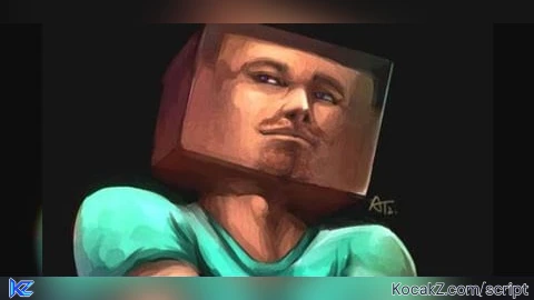 steve script