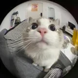 MrSh4dow