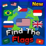 Find The Flags (350) 🌍