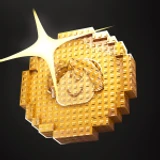 Heads or Tails? icon