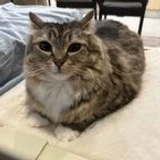 kirafm