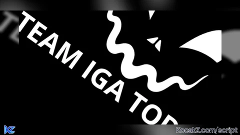 IGA HUB best Backdoor scanner