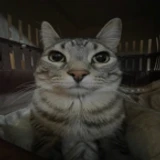 lucaswewq1