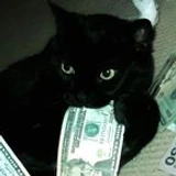 Neko_Hub