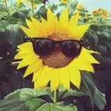 Flower_boy