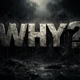 WHY_did_you_do_it