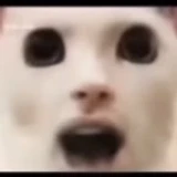 luloix