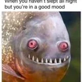 chaddysammy888