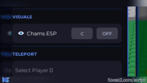 fly esp and more