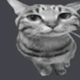 Halllow_cat