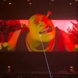 kingOftheHilluser