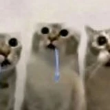 ngxvbcvfzxvzx