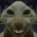 sirxrer