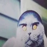 _AlekZandr_