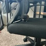 Hamstegyys