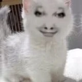 1x1x1_