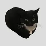 CoconutMother9000