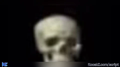 Skeleton sky