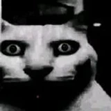 Wesd