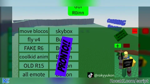 R0inn